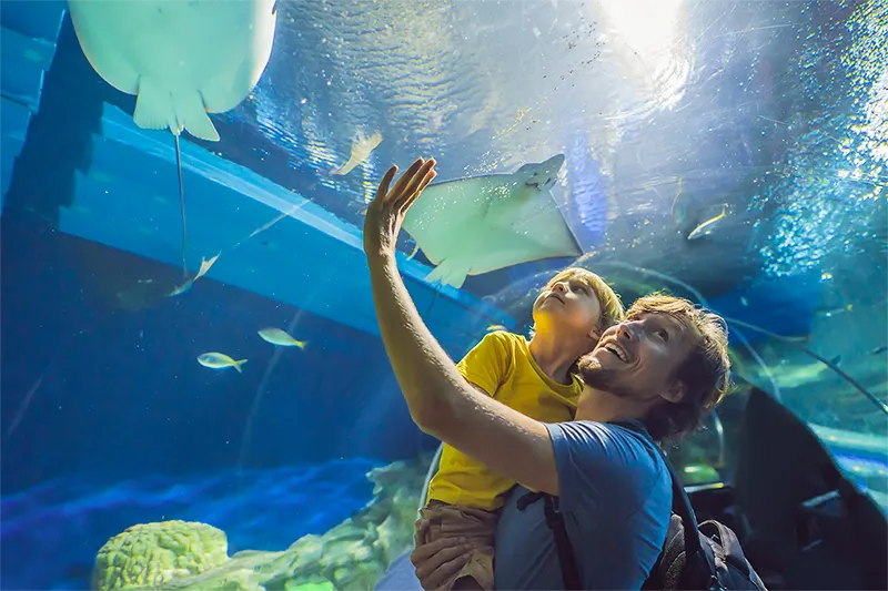 Inn at Spanish Head Newport aquarium visit